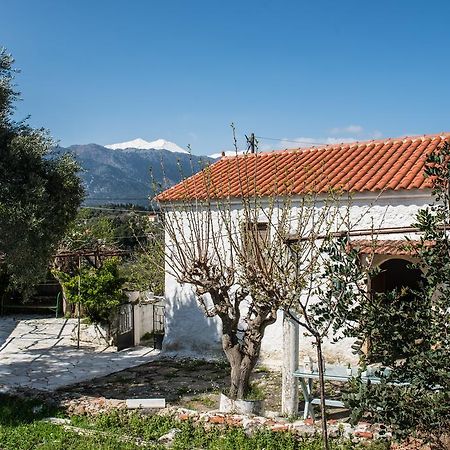 Traditional House Alikampos Extérieur photo