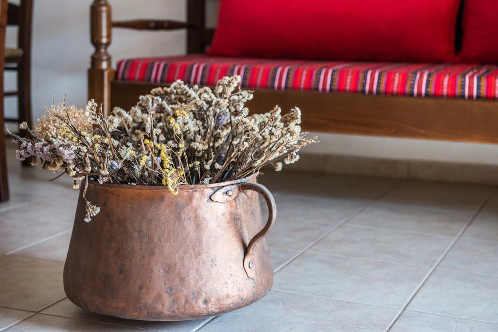 Traditional House Alikampos Extérieur photo